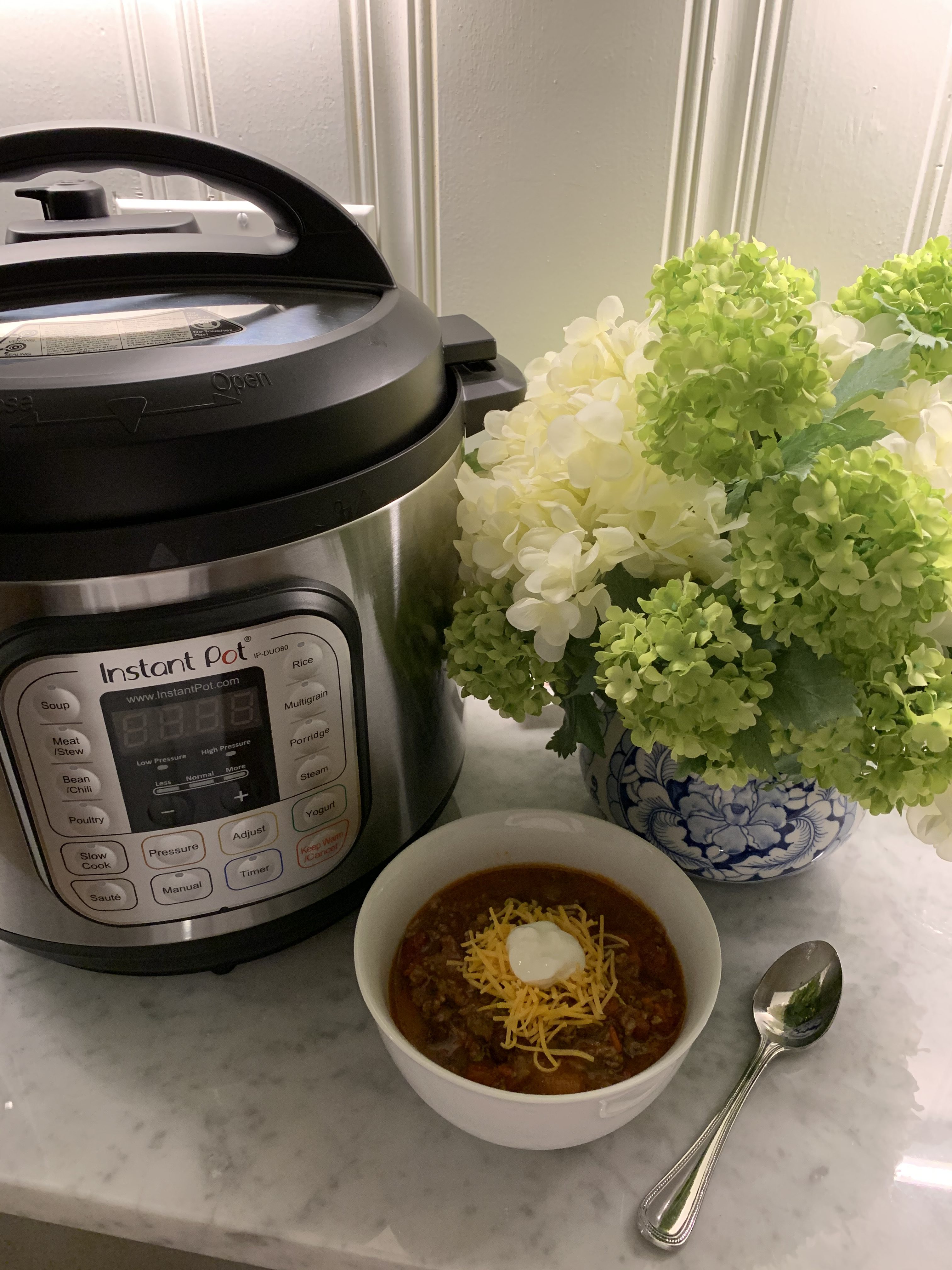 instant pot obsession