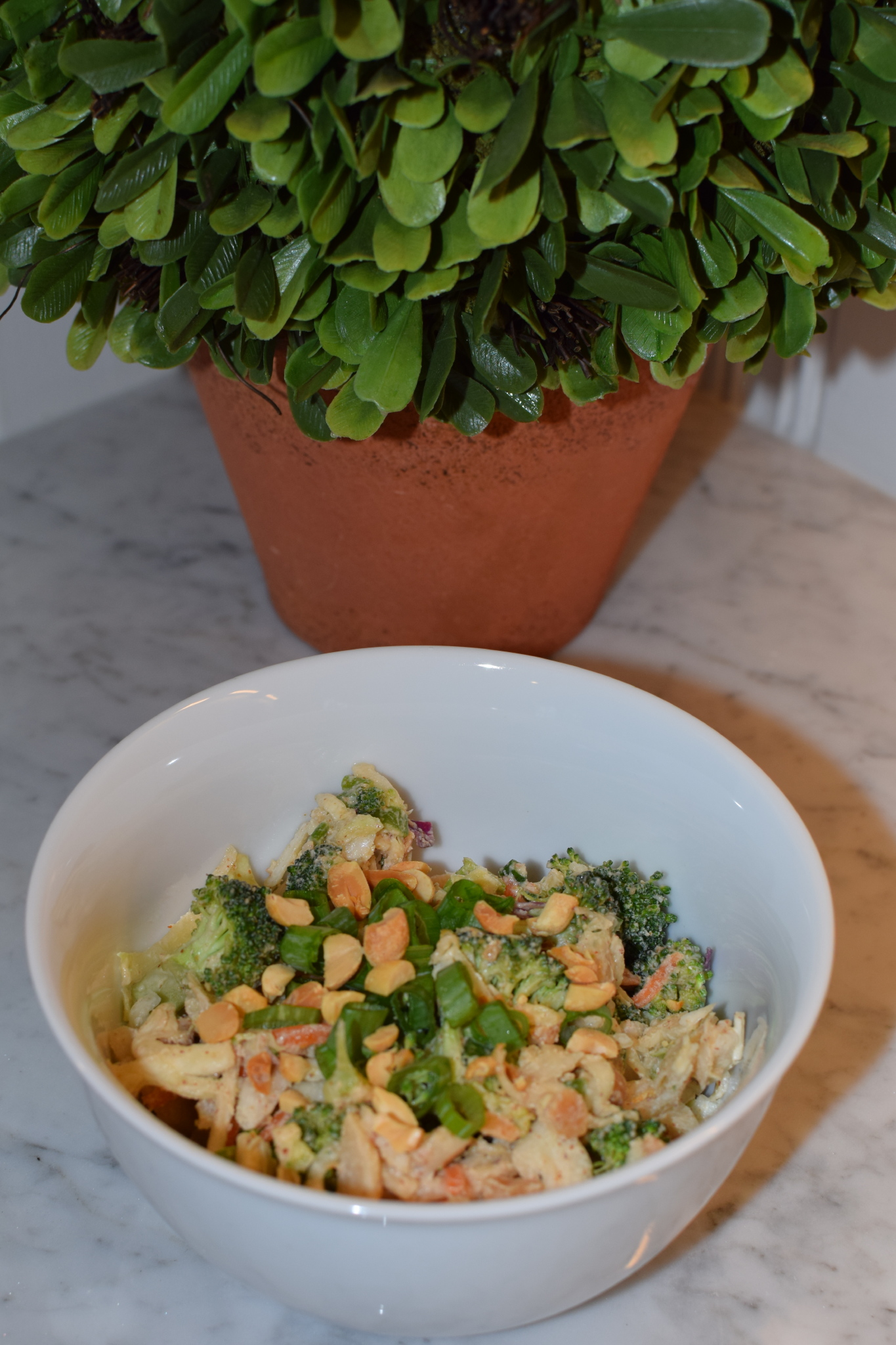 :: Healthy Broccoli Salad ::