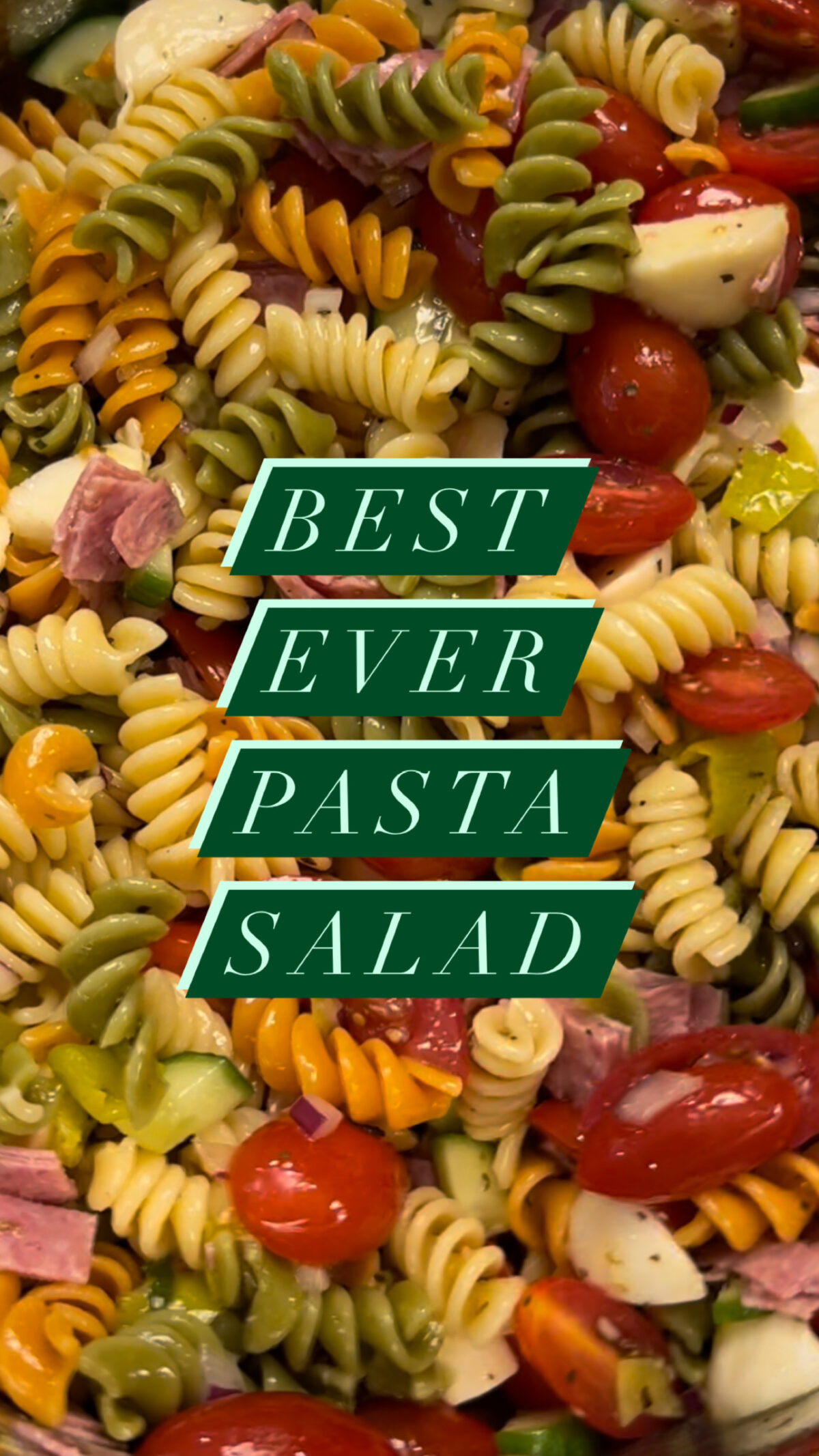 :: BEST EVER PASTA SALAD ::